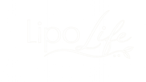 logo schriftzug weiß